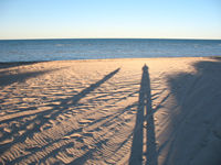 Long early morning shadows on the Gulf shore, Exmouth
